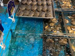 -渔公码头·九龙湾国际饭店