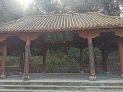 -铁山坪森林公园