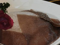 捞派毛肚-海底捞火锅(振华商厦店)