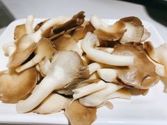-古乐牛香·鲜牛肉牛杂火锅(吴江三里桥运东商业广场店)