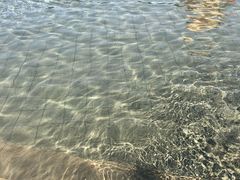 -柳浪游泳场