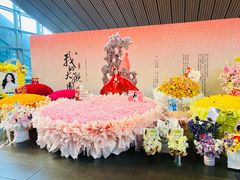 -合肥大剧院
