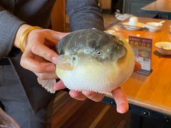 -永安鱼庄·镇江菜(丁卯店)