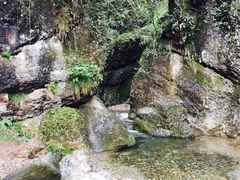 -青城山