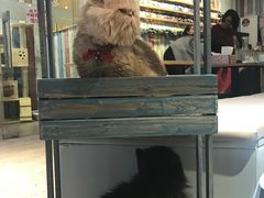 -小时光咖啡馆(开森度假森林店)