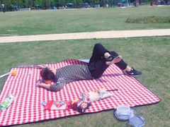 -上海长兴岛郊野公园