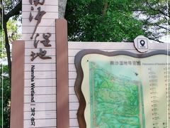 -大湾区中央湿地公园