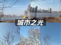-沙湖公园