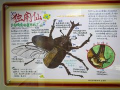 -上海昆虫博物馆
