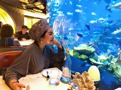 -迪拜帆船酒店海底餐厅