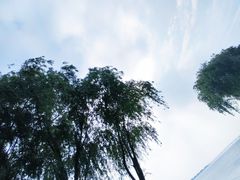 -漕湖湿地公园