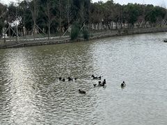 -漩门湾国家湿地公园