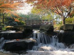 -中国茶叶博物馆(双峰馆区)