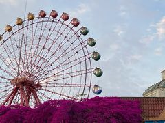 -南湖梦幻岛
