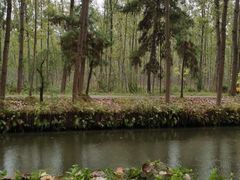 -合肥滨湖国家森林公园