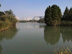 -青枫公园