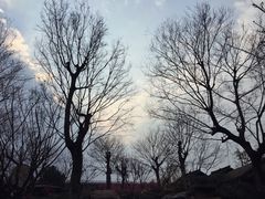 -秀丽东方