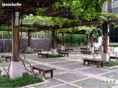 -苏州河梦清园环保主题公园