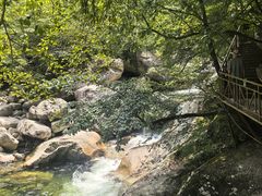 -青峰峡国家森林公园