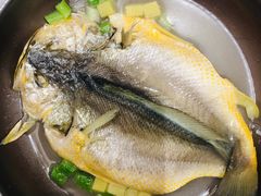 百秒黄花鱼-潮好味(国贸英皇集团中心店)