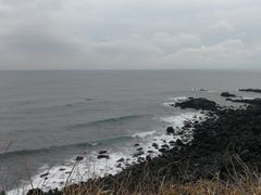 -涉地可支