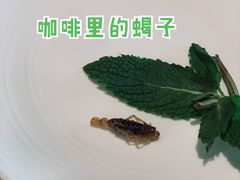 -上古咖啡ShadowCafe&Reastaurant(哈尔滨中央大街店)