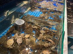 -宴立方海鲜自助(义乌万达广场店)