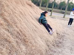 -前小桔亲子创意农场·草莓采摘·露营烧烤