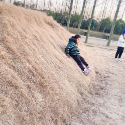 -前小桔亲子创意农场·草莓采摘·露营烧烤