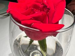 -波特曼西餐厅(南岗店)