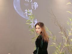 -金茂览秀城