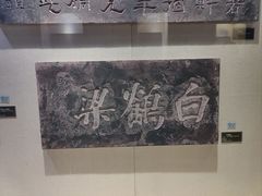 -白鹤梁水下博物馆
