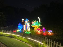 -大塘金香草谷
