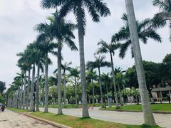 -厦门大学(思明校区)