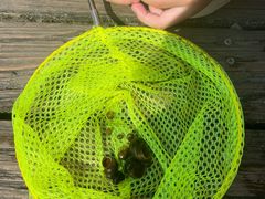 -成都市活水公园