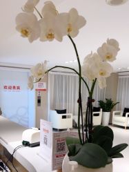 -广东韩妃整形外科医院