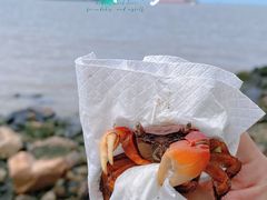 -上海滨江森林公园