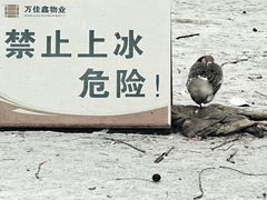 -硅谷亮城