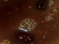 -小六汤包(万和城店)