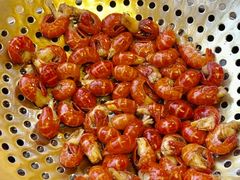 -园中院•常州菜