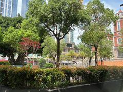 -野草莓自由市场