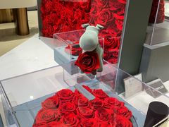-ROSEONLY诺誓(磐基中心店)