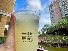 -一杯潮茶·专注潮汕茶饮(朝阳庄店)