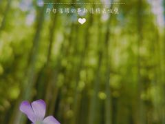 -苏州环秀晓筑养生度假村