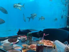 -瑞德姆美人鱼海底演艺主题餐厅(亚龙湾店)