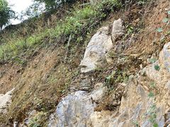 -重庆睡佛山森林公园
