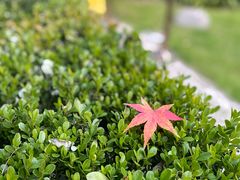 -上海孙中山故居纪念馆