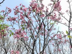 -文华公园(禅城区)