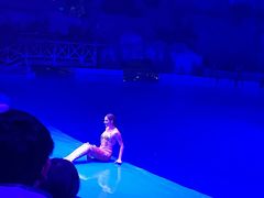 -芜湖新华联大白鲸海洋公园