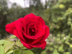 -安德鲁户外烧烤帐篷营地(马泉营店)